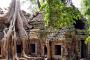 Sehen Sie in Kambodscha die von der Natur verschlungenen Ruinen der Tempelstadt Angkor Wat.