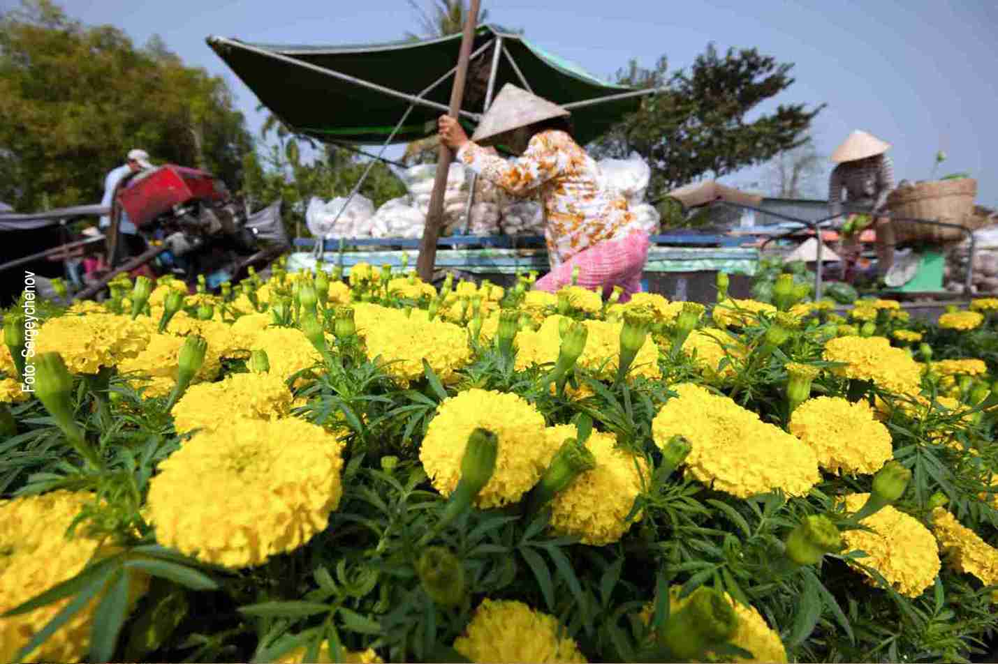 Schwimmender Markt im Mekongdelta
